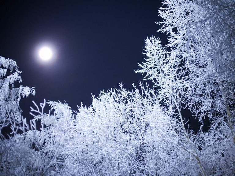 Nachhimmel im Winter